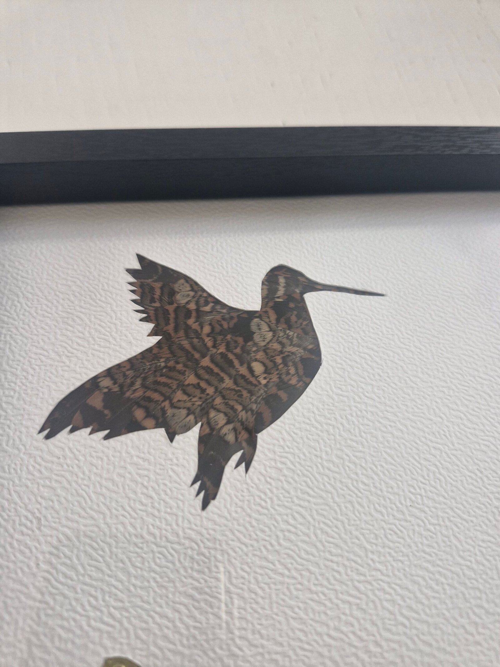 Chasse a la bécasse – Image 5