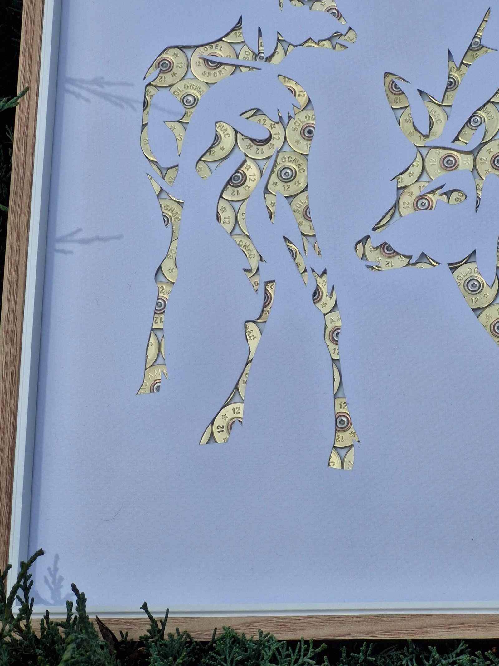 Les cerfs – Image 5